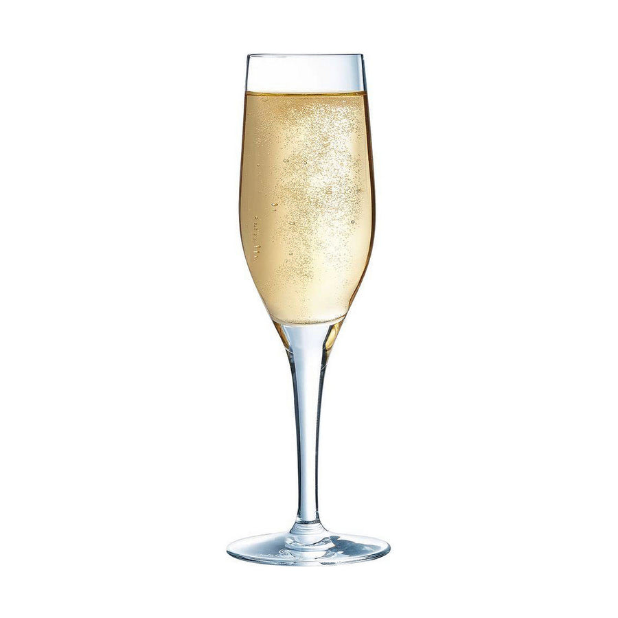 Champagne glass Chef & Sommelier Transparent Glass (19 cl)