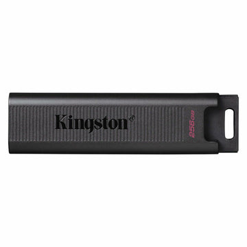 USB stick Kingston DTMAX 256 GB