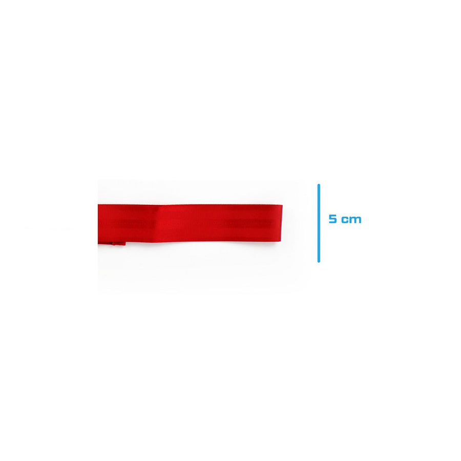 Tow Tape SCHROTH RACING SH90373 400 mm 1800 Kg Red 100 mm 7/16